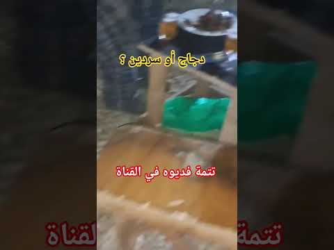 دجاج مشوي طبخ مغربي فكاهة فكاهةمغربية طبخ كوميديات عشاءلذيذ 