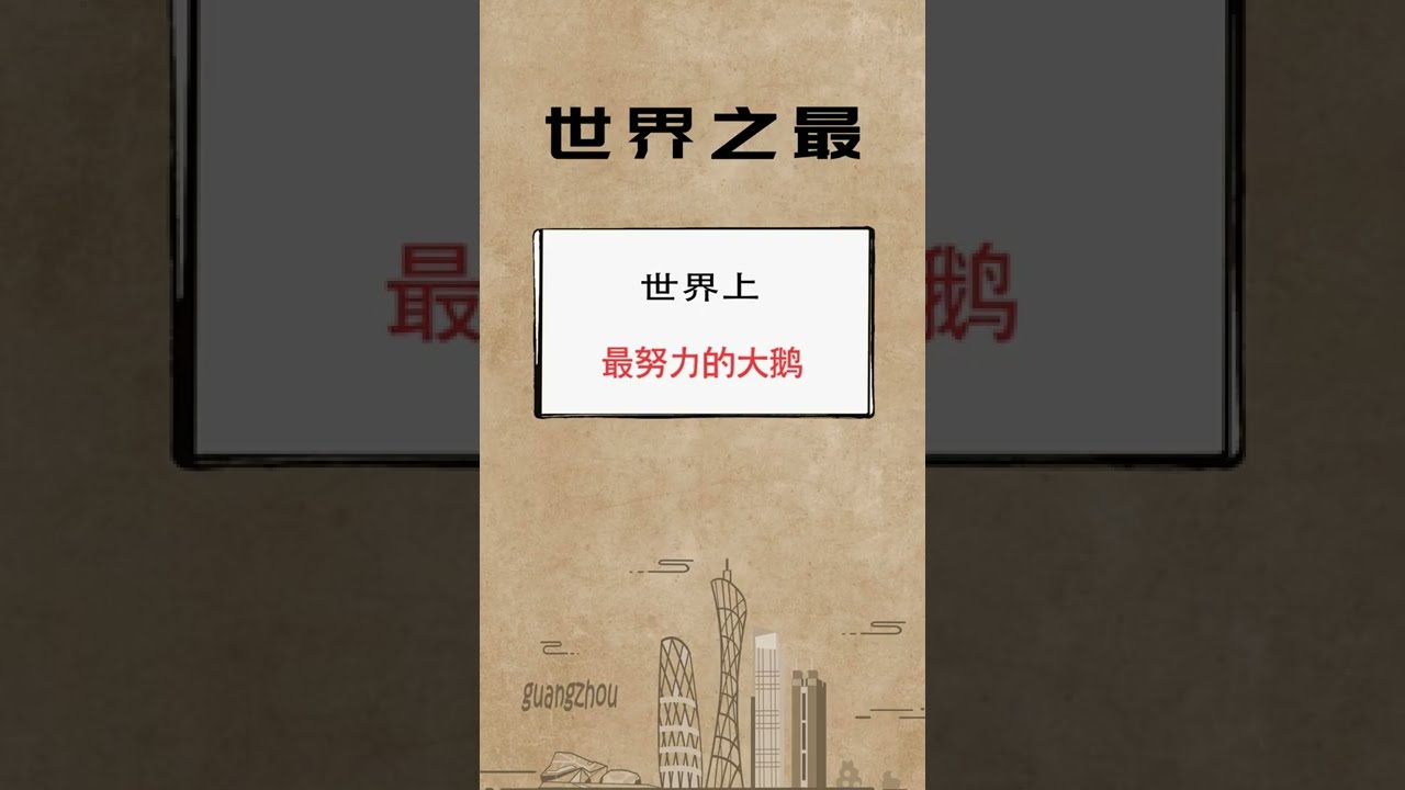 緣來不晚 2022 第152期：大叔嫌棄大媽長相不行，不願強求直言到此結束