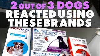 This Flea & Tick Treatment caused a reaction in 2 out of 3 dogs!