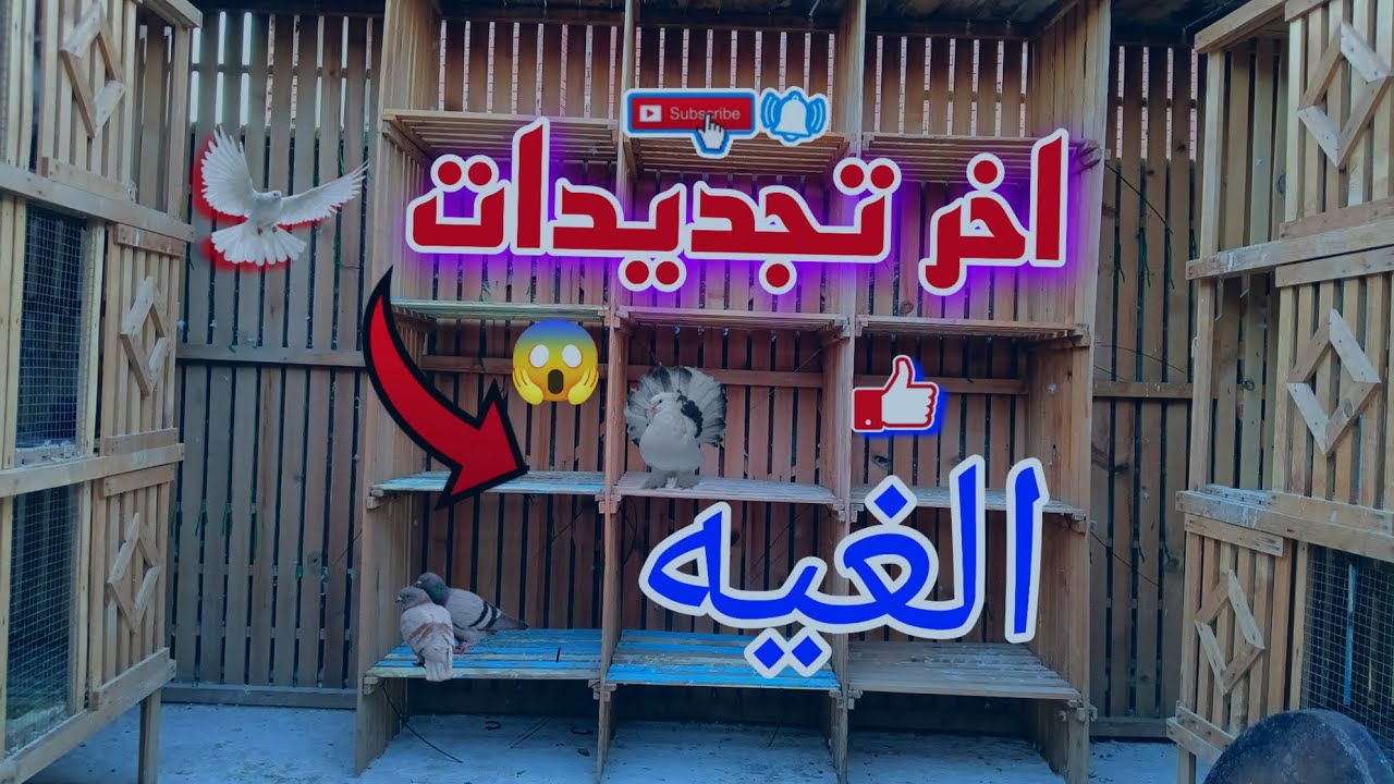 طريقه عمل سلاكات للحمام🕊| اخر تجديدات الغيه🤔 