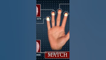 How Browser Facilitates Blockchain-Based Healthcare Data Sharing