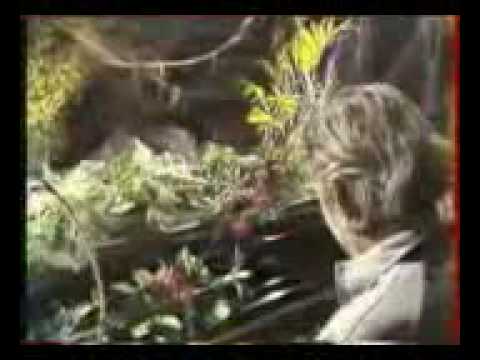Gainsbourg & Screamin- Jay Hawkins