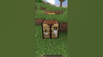 How many items fit in a chest?