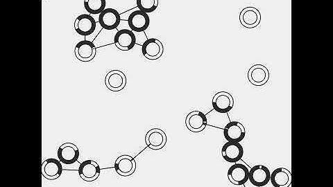 Visualize relationship of flock. Draw by openFrameworks