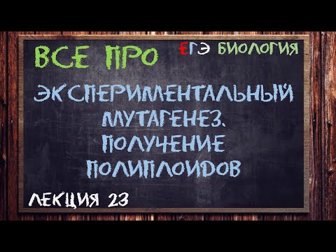 Л.23 | ЭКСПЕРИМЕНТАЛЬНЫЙ МУТАГЕНЕЗ | ПОЛИПЛОИДИЗАЦИЯ | СЕЛЕКЦИЯ | ОБЩАЯ БИОЛОГИЯ ЕГЭ