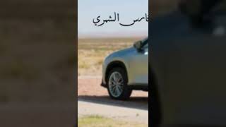 ينبعاوي | اللومه اللومه ياحلوه يامظلومه |