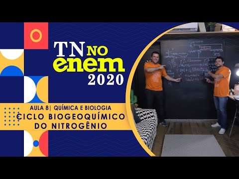Química e Biologia | Ciclo Biogeoquímico do Nitrogênio Química e Biologia | Ciclo Biogeoquímico do Nitrogênio
