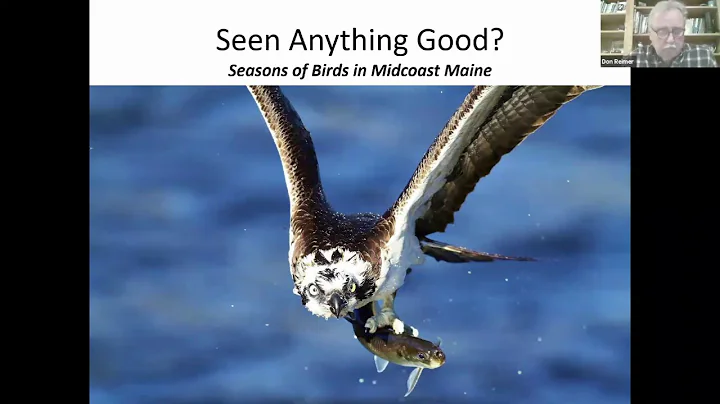 Seen Anything Good?: An Author Talk by Don Reimer
