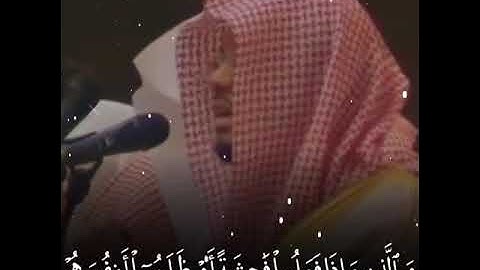 قران كريم بصوت ياسر الدوسري اجمل حالات واتس اب دينيه تلاوة خاشعة🌻🍃💔