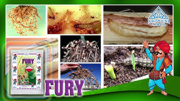 Fury Carbofuran 3% CG: A Powerful Systemic Insecticide and Nematicide for Crop Protection