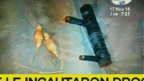 Joven de 20 años es detenido por poseer marihuana en sus casa