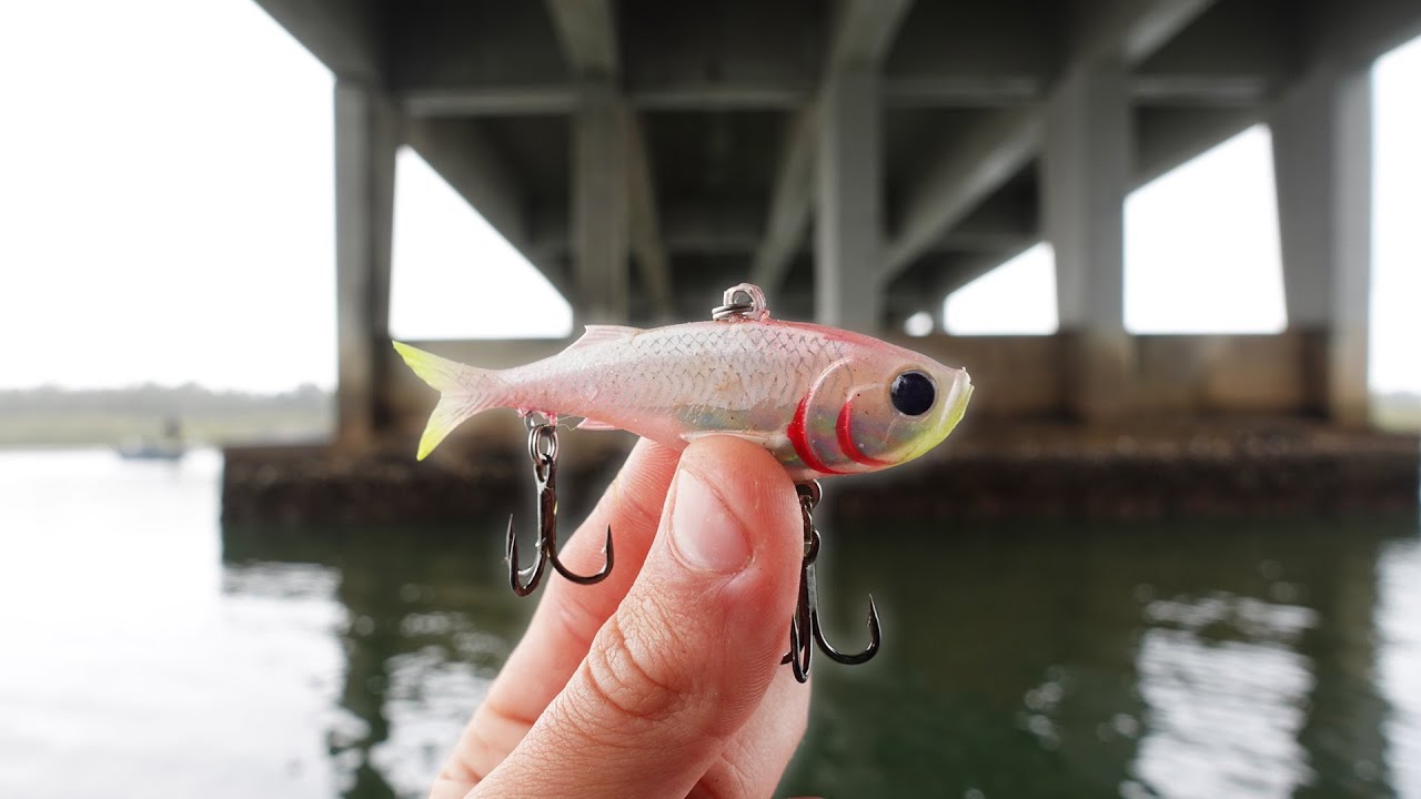 Fishing Heavy Structure For Big Fish!?! 