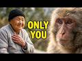 In The World Of The Nun And Xingxing, There Was Only Each Other.#monkey #babymonkey