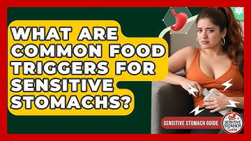 What Are Common Food Triggers For Sensitive Stomachs? - Sensitive Stomach Guide