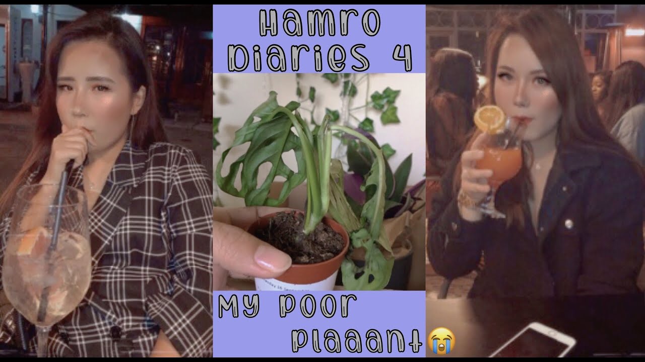 (Nepali Vlog) Patch Plants order | Shisha timeee | Hamro Diaries