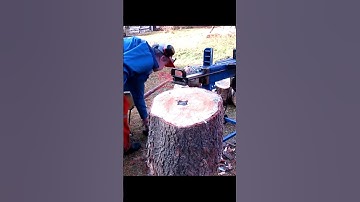 Dangerous Homemade Firewood Processing 😲 #firewood #Processor #machine