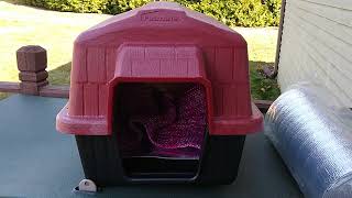 Outdoor cat shelter option 5: small plastic dog house plus insulation idea! (product review series)