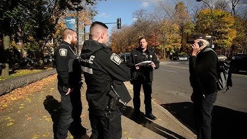 Comrade Net in solidarity with Dr. Weizfeld