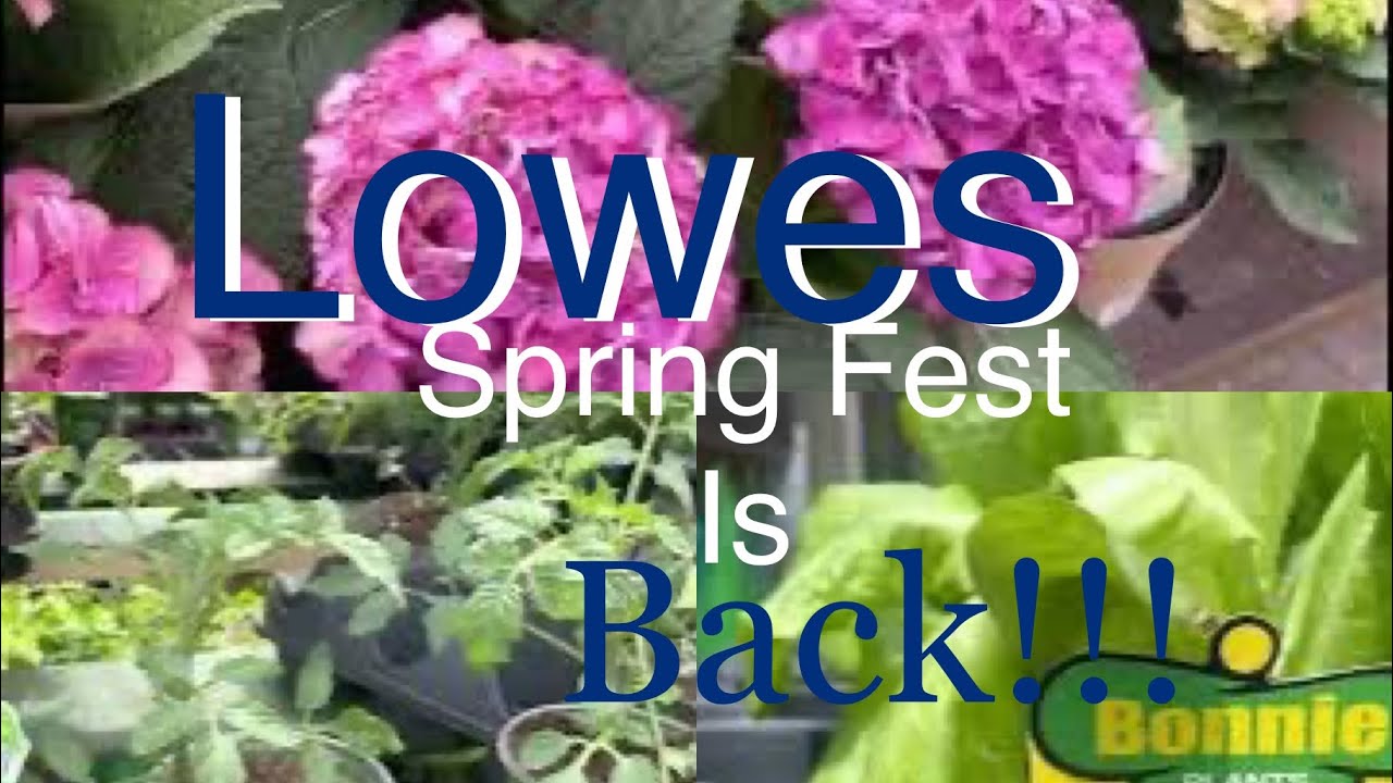 Lowes Spring Fest Inventory Spring Sale 2023......... Gardening