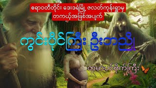 ကွင်းပိုင်ကြီး ဦဘညို