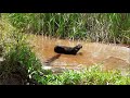 NEGAO SE REFRESCANDO NO RIO