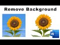 how to remove the background of a picture in Microsoft word 2016