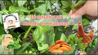 Vlog: Te Enseño Mi Mini-Huerto En Macetas!