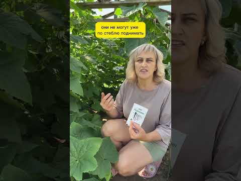 Video: Kas ir siltumnīcas augs?