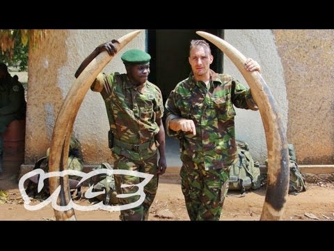 Video: Pumunta Sa Tagapagtatag Ng Papa Sa Ilalim Ng Apoy Para Sa Killing Elephant