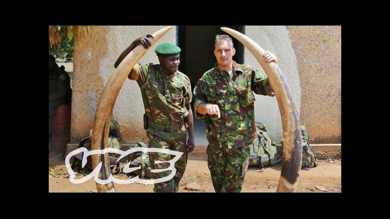 Elephant Poachers in Kenya