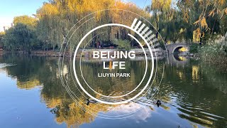 Beijing Life — Liuyin Park