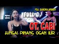 House Mix dj.Sandra arimby OT. CABI Sungai Pinang