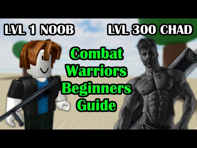 How Noobs See Combat Warriors #roblox #combatwarriors #combatwarriorsr