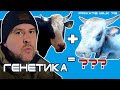 Перша згадка про генетику. Кого і ким я парую | Private Milk | Травецький