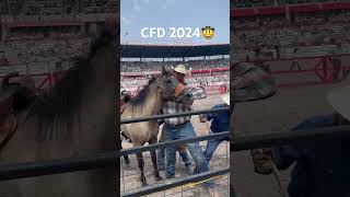 Wild Horse Race, Cheyenne Frontier Days 2024