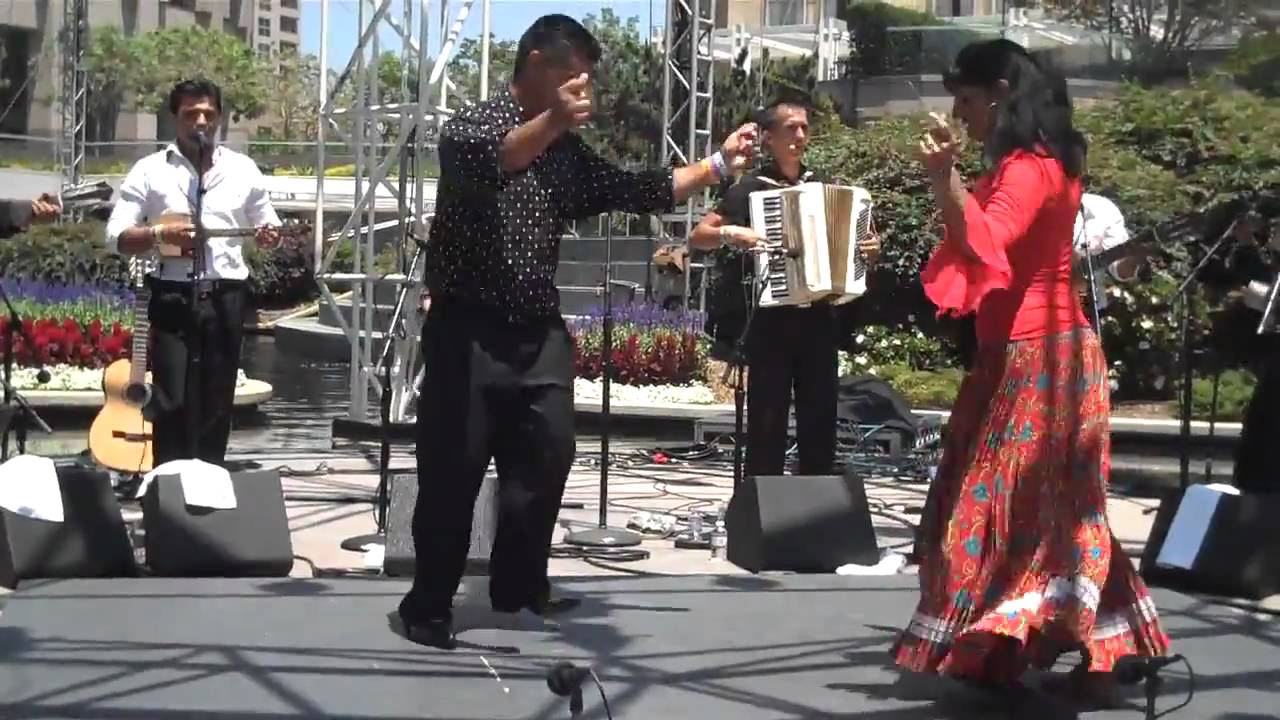 Венгерские цыгане песни. Цыгане в венгрии. Роза джелакаева и петр деметр. Танцы румынских цыган. Цыганский ансамбль свэнко.