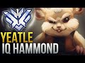 Yeatle - RANK 1 BIG IQ HAMMOND - Overwatch Montage