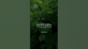 🌊 آية قصيرة من سورة نوح | قرآن قصير ومؤثر | طارق محمد