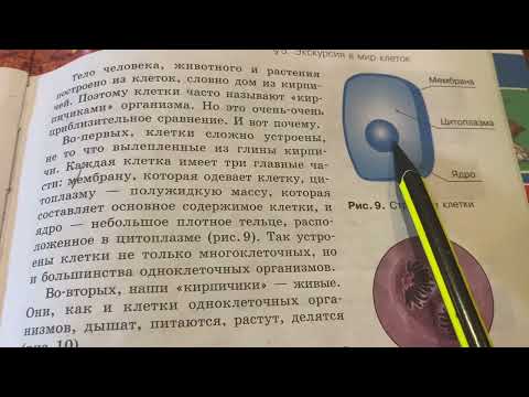 ?Биология 5 кл/Плешаков/Тема 5: Экскурсия в мир клеток/03.09.23 16:40