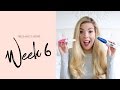 6 Week Pregnancy Update | Dollybowbow