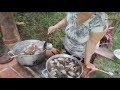 DIA DE FEIJOADA DA MARIA COM FAMÍLIA E AMIGOS - PREPARATIVOS - PARTE 1 - VIDA NA ROÇA