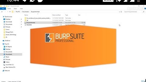 Burpsuite website  spider scan