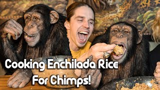 Cooking Enchilada Rice for Chimps | Chimp Dinner Live