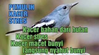 RELAKSASI KACER STRES CEPAT BUNYI