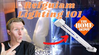 The BEST Lights For a Refugiam! - Cheap and Effective!! by Some Things Fishy 87 views 3 years ago 3 minutes, 21 seconds
