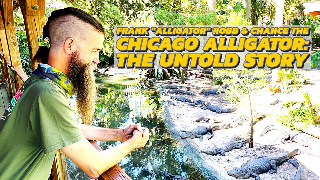 Frank "Alligator" Robb & Chance the Chicago Alligator The Untold Story
