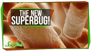 The New Superbug! The New Superbug!