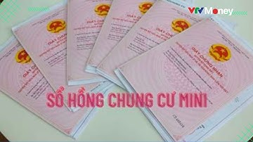 Căn hộ chung cư mini sẽ được cấp sổ hồng | VTVMoney
