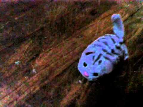 ჩემი სათამაშო Furry Frenzies ის ფირმის კატა რომელიც დადის