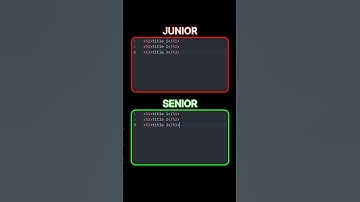 Junior VS Senior Frontend Developer #programming #javascript #css #html #webdevelopment #coding #fyp
